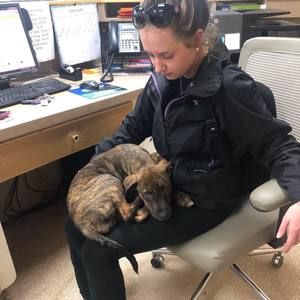 Meet your Posher, Darby